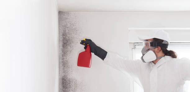 Best Certified Mold Removal  in Genoa, OH