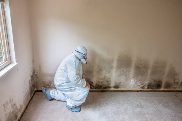 Best Mold Removal Process  in Genoa, OH