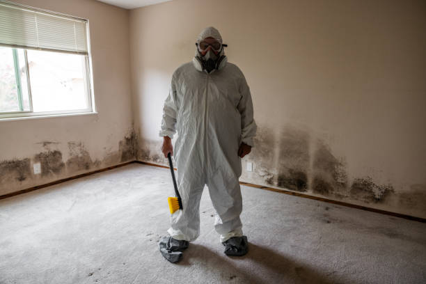 Best Emergency Mold Removal  in Genoa, OH