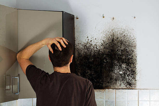 Best Emergency Mold Removal  in Genoa, OH